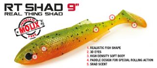 Molix RT Shad 9 inch - 